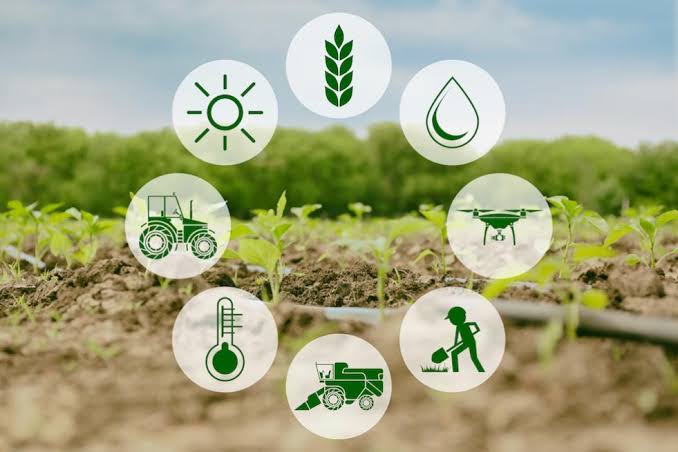 CREATIVE THINKING: THE KEY TO SOLVING FARMING CHALLENGES